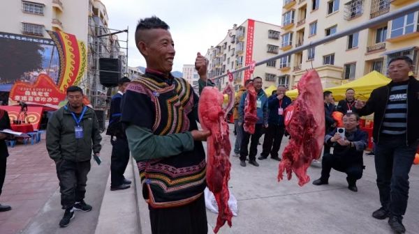 赛猪膘、品彝家千人宴 来凉山“彝”起过新