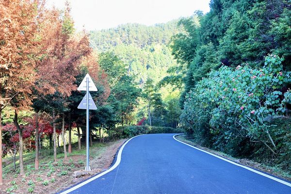 恩阳区交通运输局：恩阳区幸福美丽乡村路（