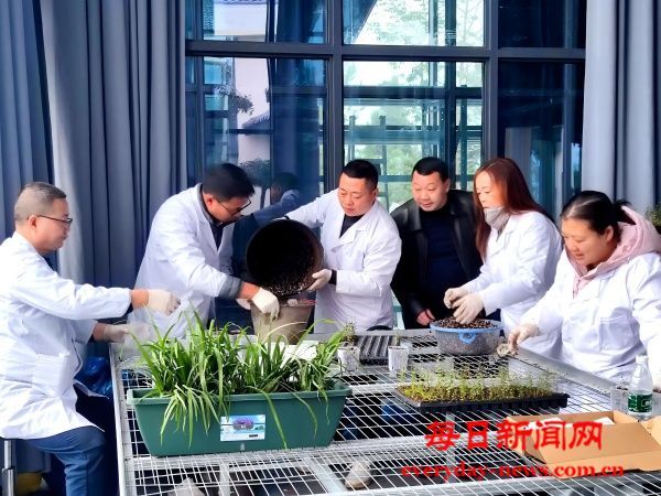 开江李勇： 青山间镌刻“生命年轮”