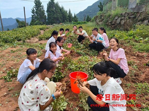 恩阳区石城小学举办“花生收获节” 让学生