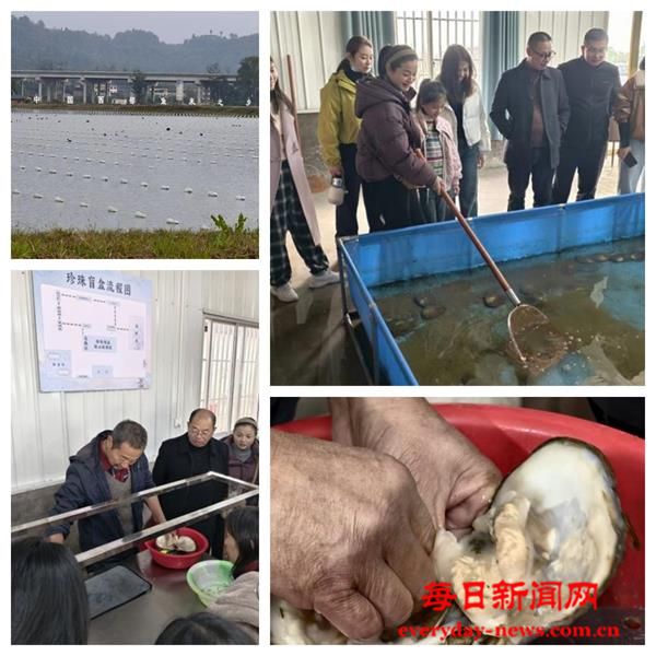 1763996236362990.jpg 1763996236362990.jpg